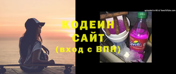 прущие грибы Переславль-Залесский