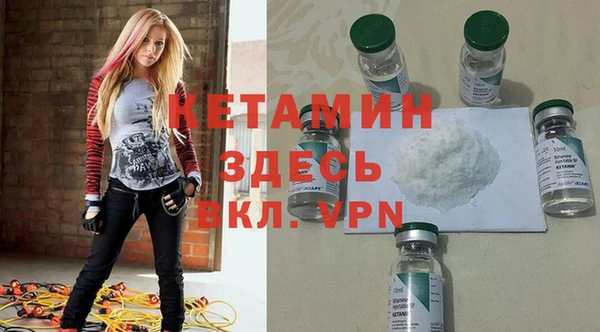 хмурый Пересвет