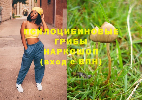 гашиш Болотное