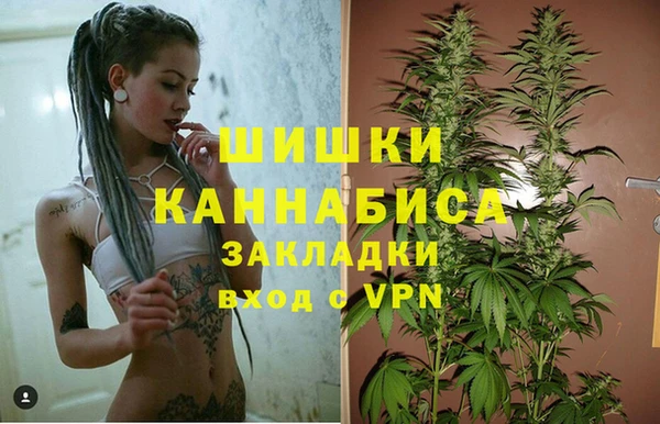 спиды Дмитров