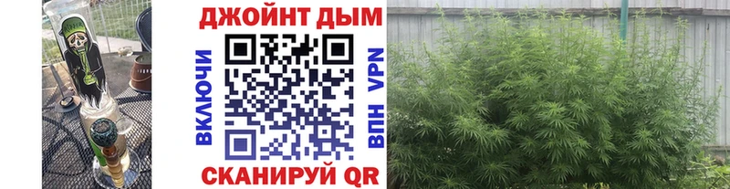 магазин продажи   Иннополис  Бошки марихуана AK-47 